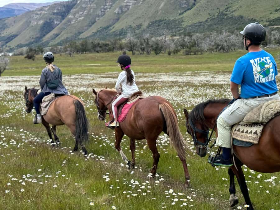 Puerto Natales: Horseback Riding with Horse Connection - A horse-first start at Hotel Posada 3 Pasos