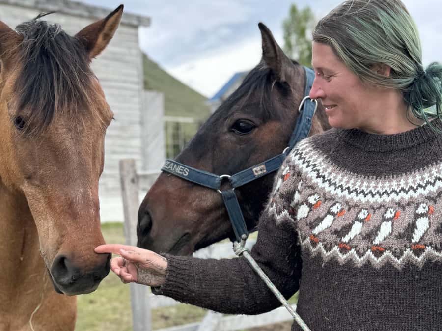 Puerto Natales: Horseback Riding with Horse Connection - Riding north toward Lake Figueroa