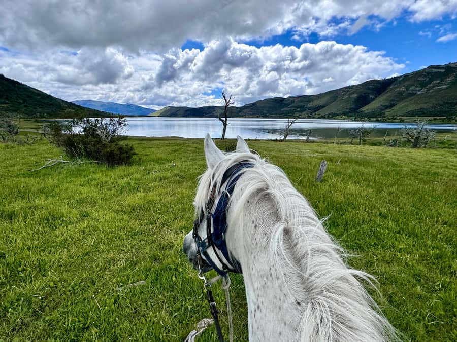 Puerto Natales: Horseback Riding with Horse Connection - What the full-day ride adds