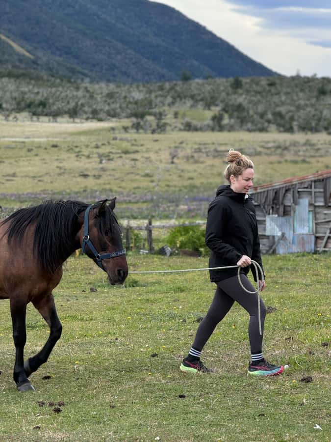 Puerto Natales: Horseback Riding with Horse Connection - Why the small group matters