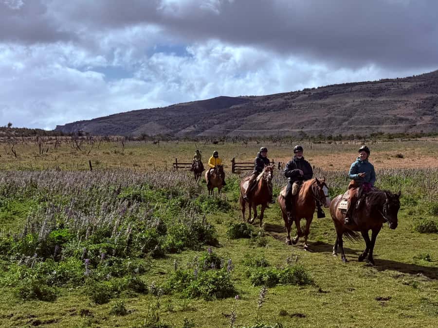 Puerto Natales: Horseback Riding with Horse Connection - The $150 price and what you receive