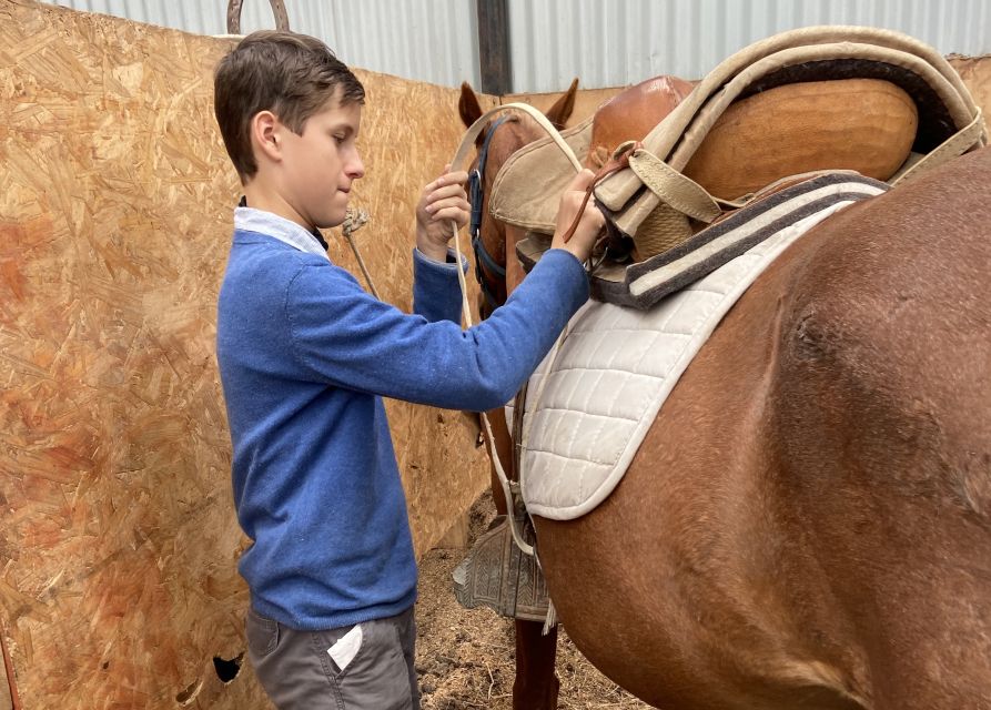 Puerto Natales: Horseback Riding with Horse Connection - Who will enjoy this most