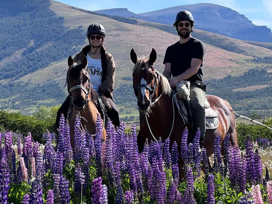 Puerto Natales: Horseback Riding with Horse Connection - Choosing between English, huaso, and gaucho tack