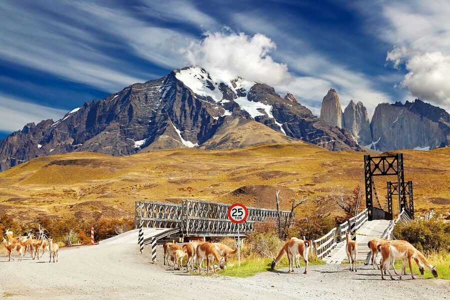 Puerto Natales: Tour Package (Full Day + Base Torres + Grey) - The views from Nordenskjöld, Pehoé, and the Paine Massif