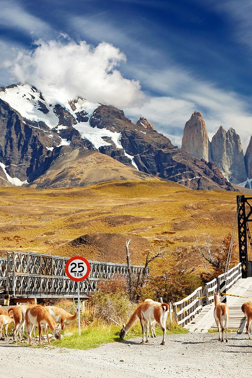 Puerto Natales: Tour Package (Full Day + Base Torres + Grey) - What the $523 price really covers