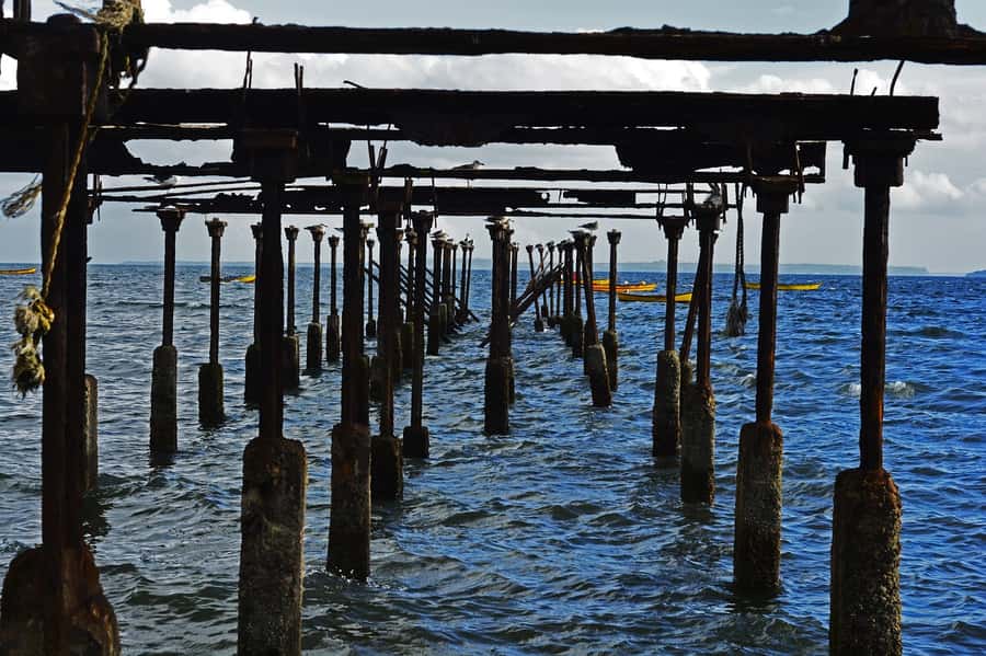 Puerto Varas: Puerto Montt & Puerto Varas Private City Tour - Key points to know before you book