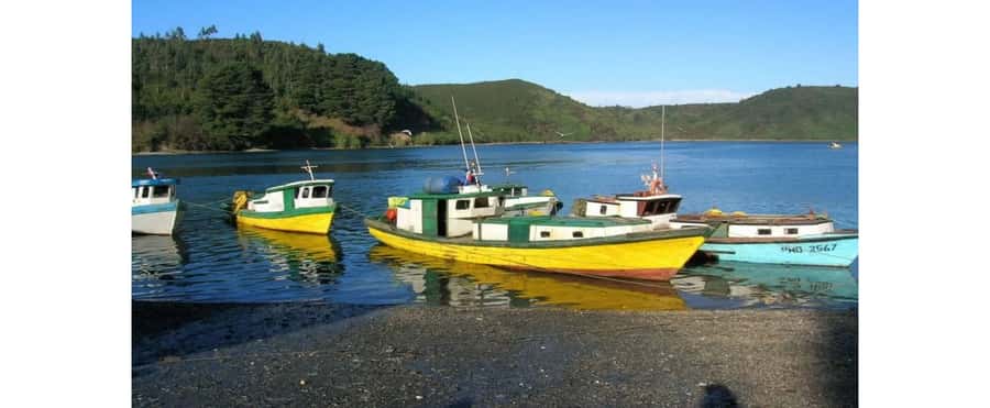 Puerto Varas: Puerto Montt & Puerto Varas Private City Tour - German settlers and the shape of southern Chile
