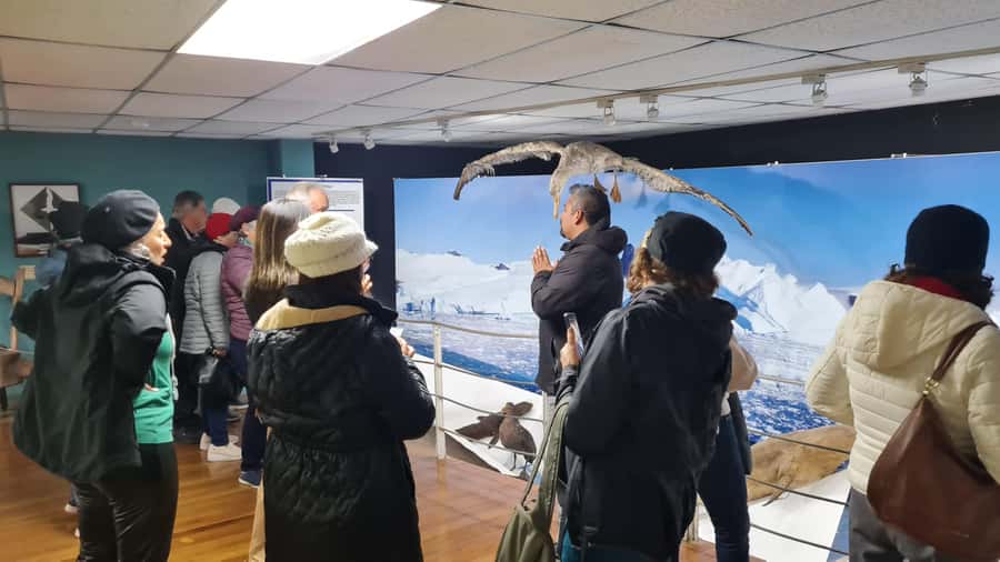 Punta Arenas: City Tour - Price, value, and extra costs