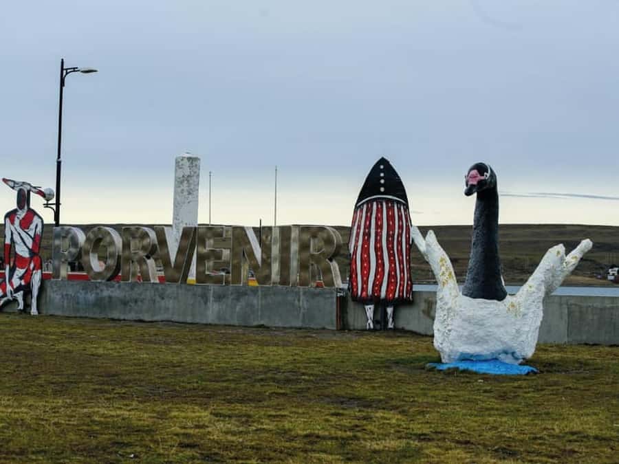 Punta Arenas: Full Day Tierra del Fuego & King Penguins - The real attraction: King Penguins on Tierra del Fuego