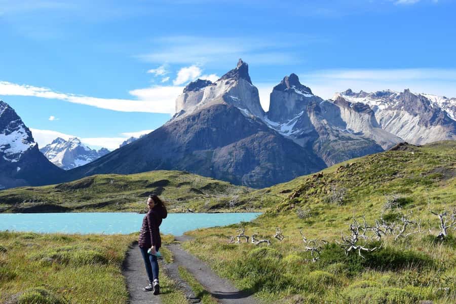 Punta Arenas: Full Day Torres del Paine + Milodon Cave - Lake Grey and the peninsula walk