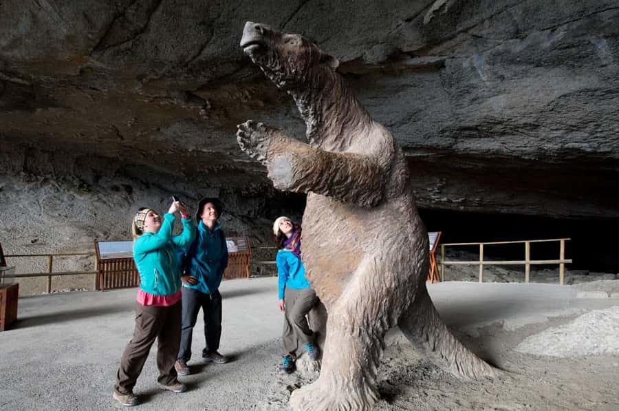 Punta Arenas: Full Day Torres del Paine + Milodon Cave - The early road to Puerto Natales