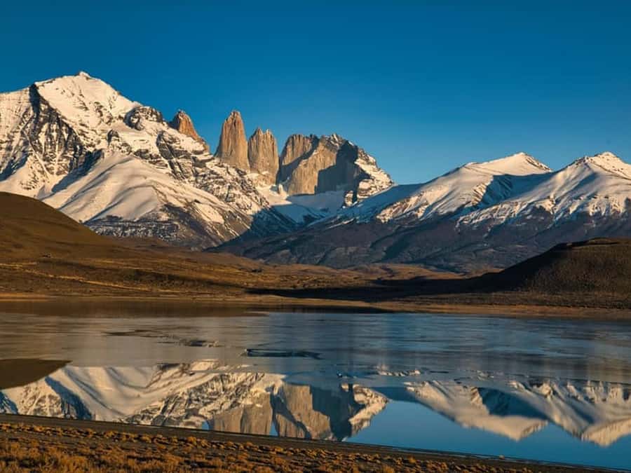Punta Arenas: Full-Day Torres del Paine Tour - Key points to know before booking