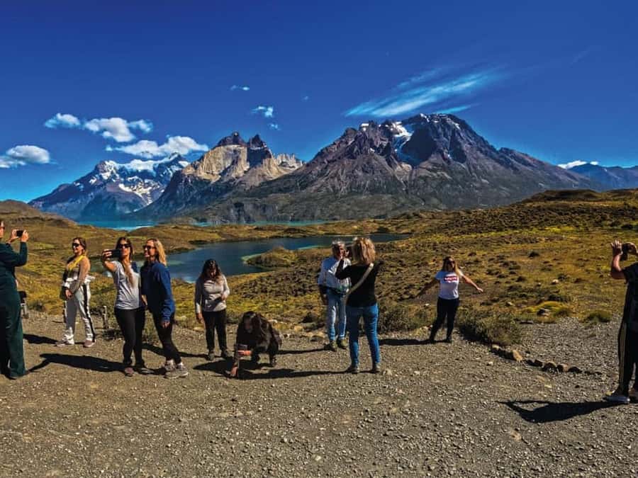 Punta Arenas: Full-Day Torres del Paine Tour - Who should book this tour