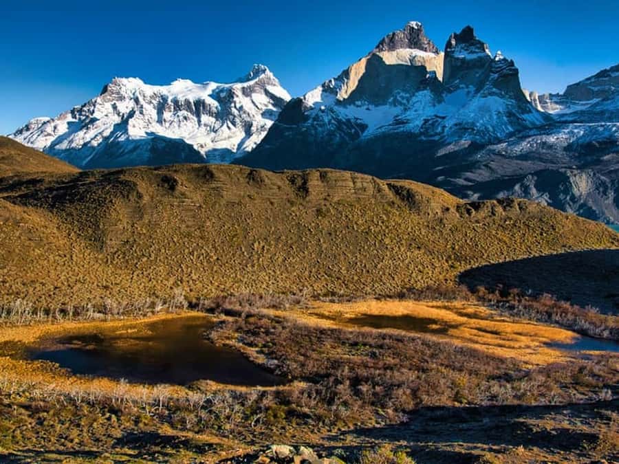 Punta Arenas: Full-Day Torres del Paine Tour - The three-hour road to Puerto Natales