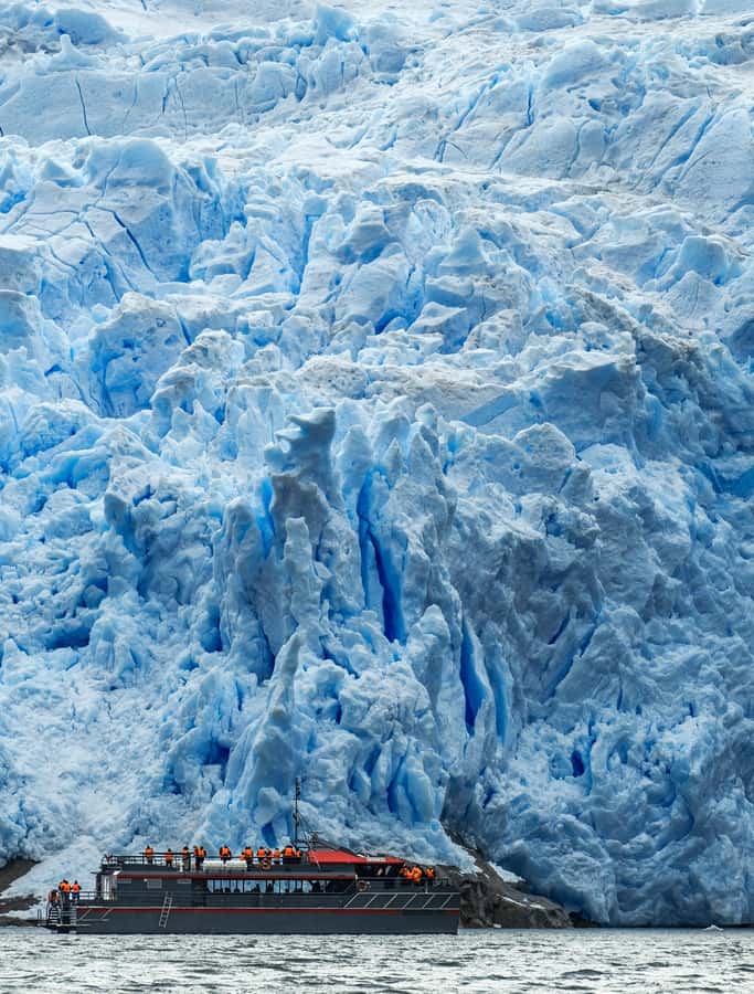Punta Arenas: Full-Day Whales, Penguins, and Glaciers Tour - Key points to know before you book