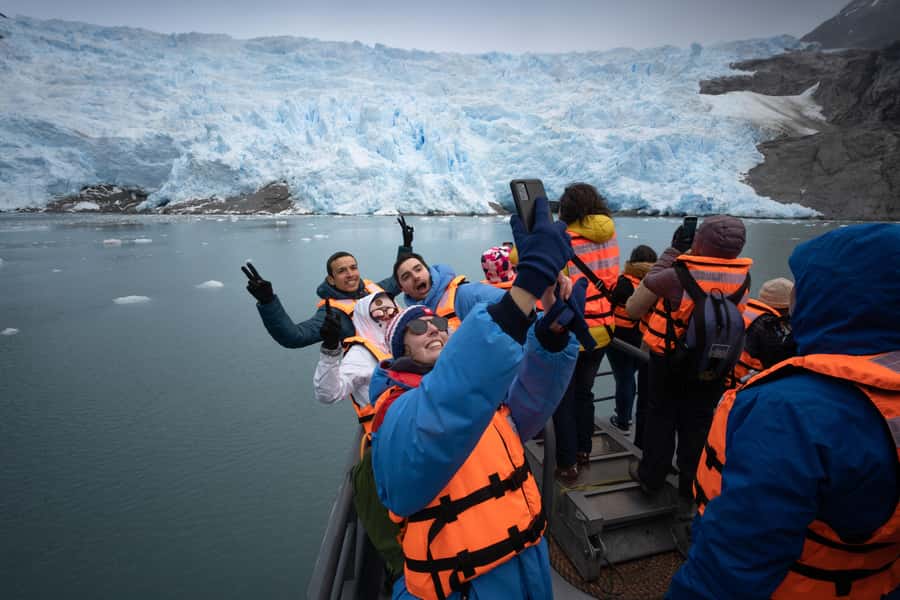 Punta Arenas: Full-Day Whales, Penguins, and Glaciers Tour - Why this Punta Arenas day trip is worth considering