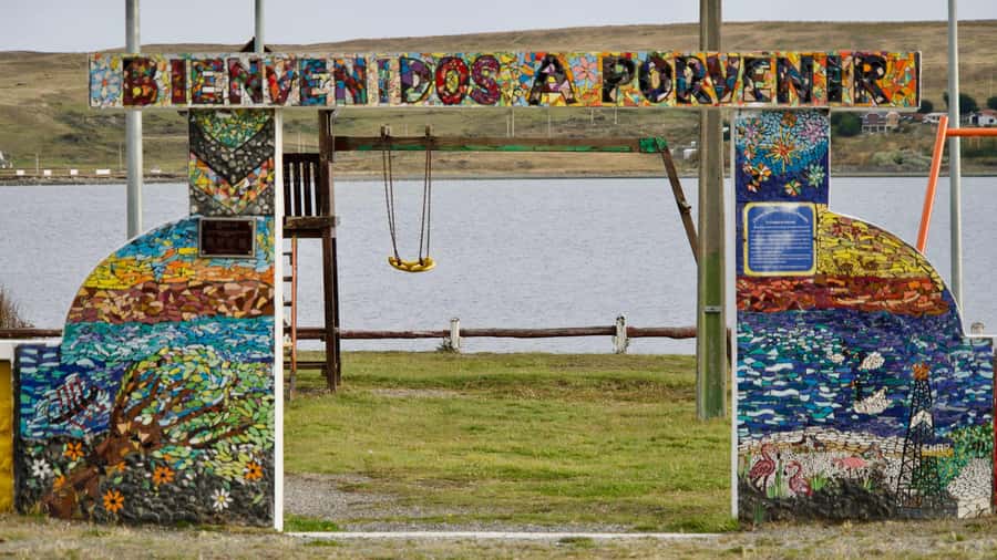 Punta Arenas: King Penguin Park and Tierra del Fuego Trip - Key points to know before booking