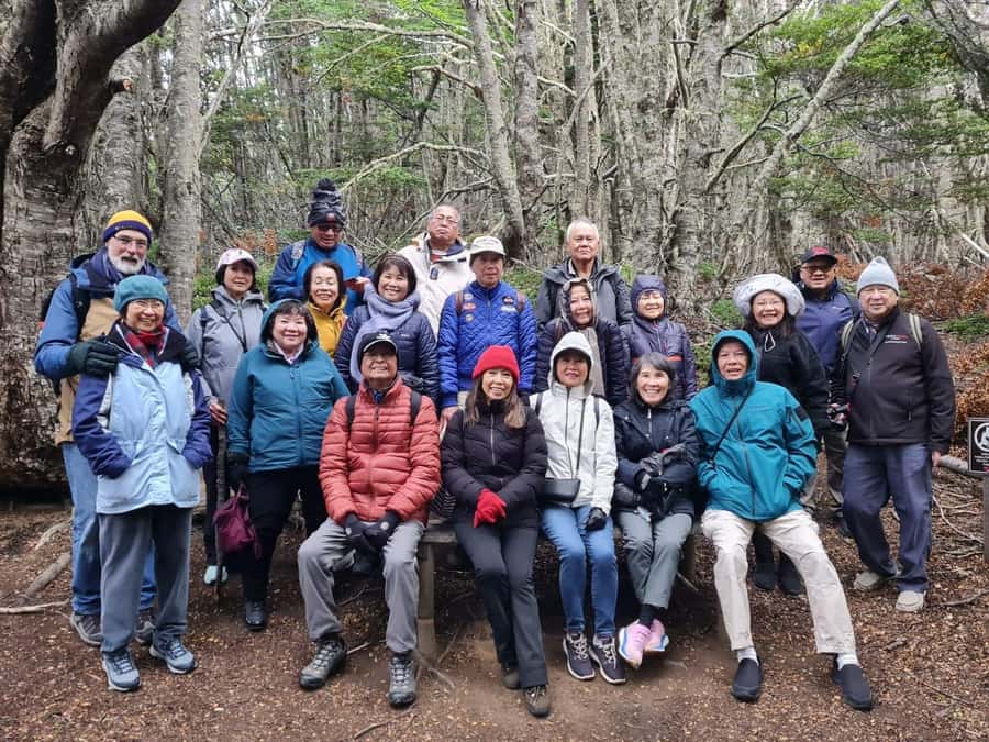 Punta Arenas: Magallanes National Reserve and City Tour - Transport, pickup, and languages
