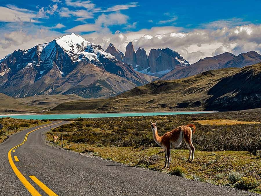 Punta Arenas: Torres del Paine & Grey Glacier Full-Day Boat - Grey Glacier is worth the long ride