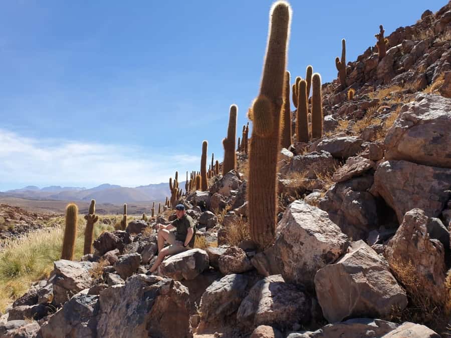Purilibre Trekking - What the $49 price really covers