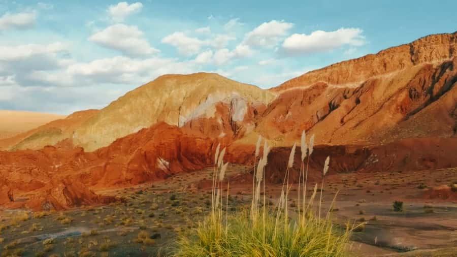 Rainbow Valley Tour: Mesmerizing Colors and Flavors - The one-hour drive from San Pedro