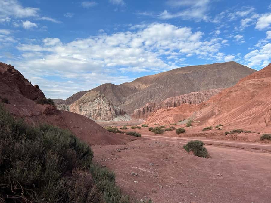 Rainbow Valley Tour + Petroglyphs (Yerbas Buenas) - Why Rainbow Valley deserves a morning