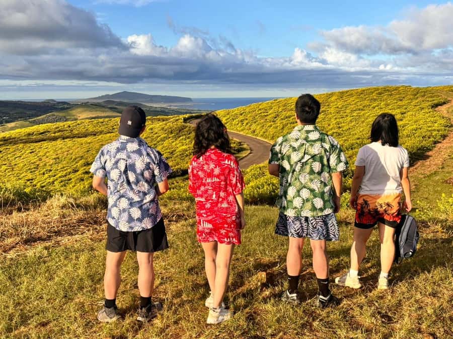 Rapa Nui: 3 Excursions with Hotel Transfers - Puna Pau, Ahu Akivi, and Tahai on the northwest route