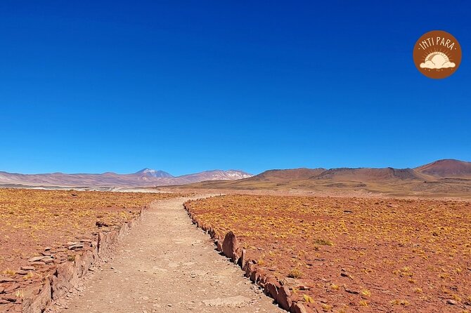 Red Stones and Altiplanic Lagoons - Chaxa Lagoon, salt flats, and nearby pelicans