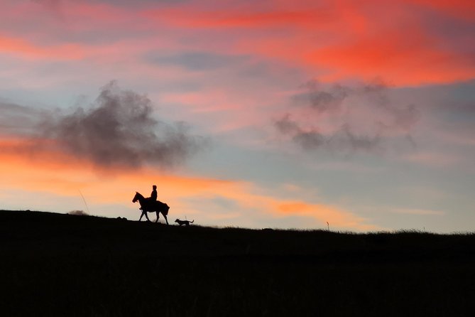 Ride to the highest point on the island for sunset - Riding from Fundo Vaitea toward Terevaka
