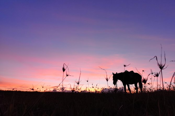 Ride to the highest point on the island for sunset - Open meadows lead to Easter Island’s highest point