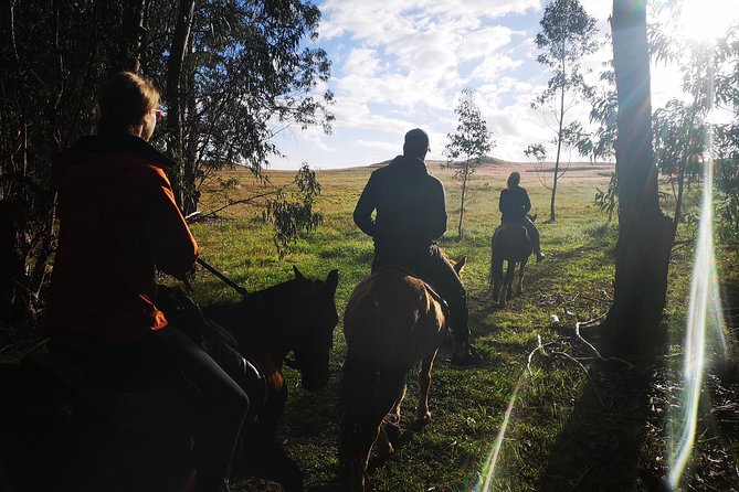 Ride to the highest point on the island for sunset - Sunset plans depend on season and daylight