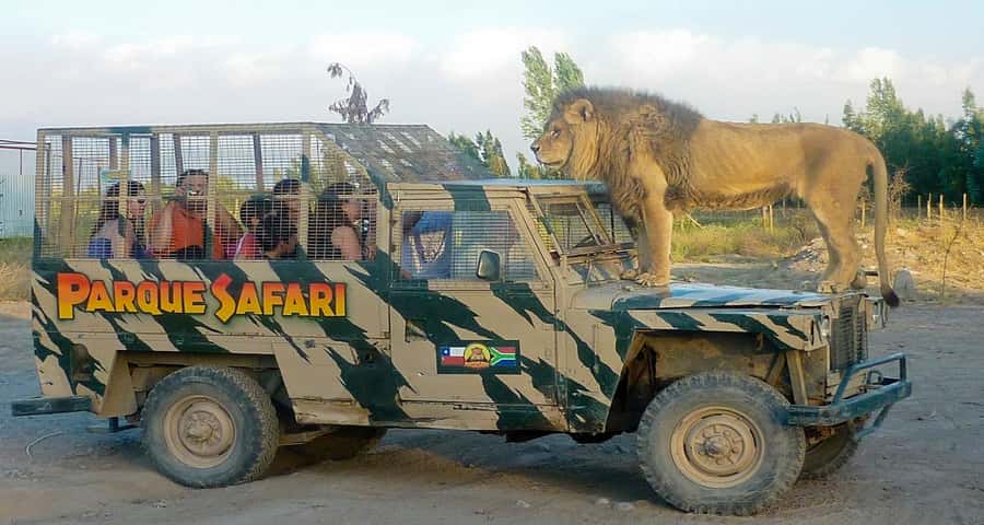 SAFARI PARK-TOUR RANCAGUA : CHILE - What makes this Rancagua safari worth your day