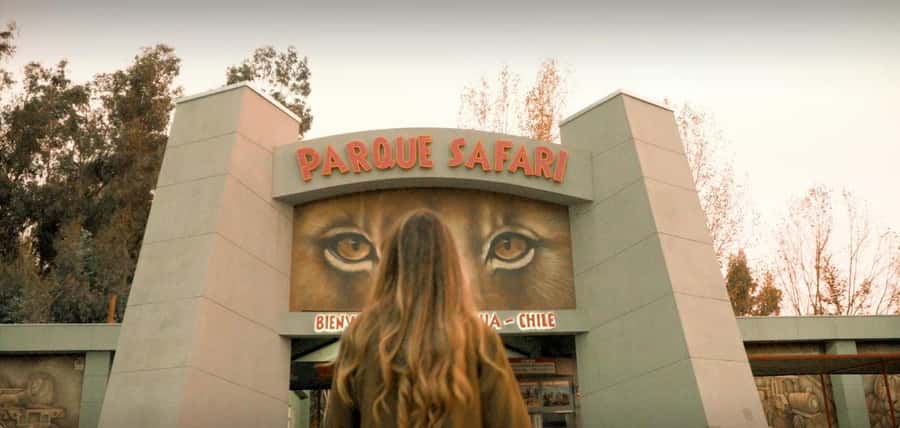 SAFARI PARK-TOUR RANCAGUA : CHILE - The feline safari: lions and tigers from your car