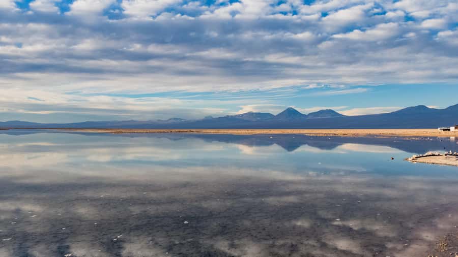 Salar de Atacama and altiplanic lagoons - An early start from San Pedro de Atacama