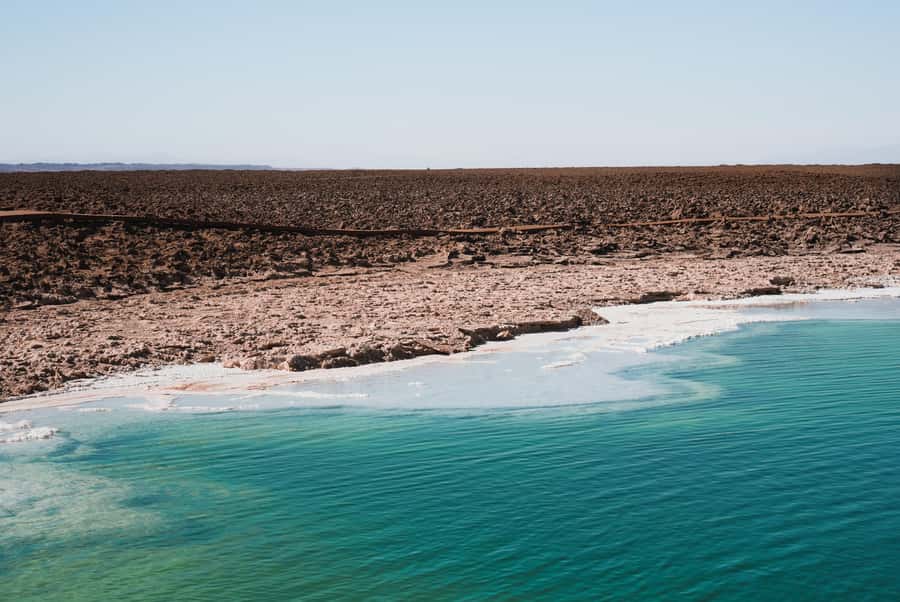 San Pedro Atacama: Baltinache Lagoons - The Baltinache Lagoons: A Strange, Salt-White Morning