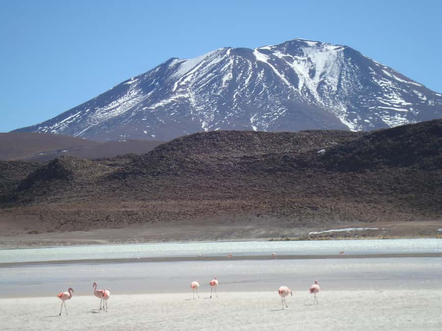 San Pedro de Atacama: 3 D. Tour Uyuni and Back to San Pedro - Key points to know before booking