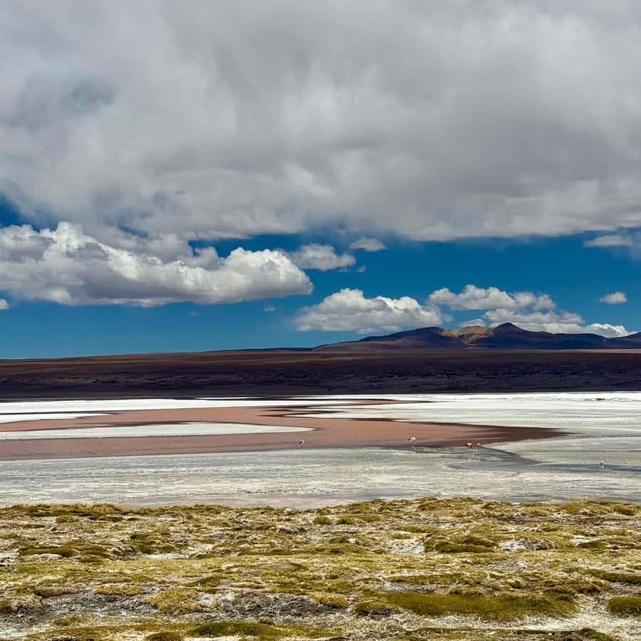 San Pedro de Atacama: 3 D. Tour Uyuni and Back to San Pedro - What the guide and driver add