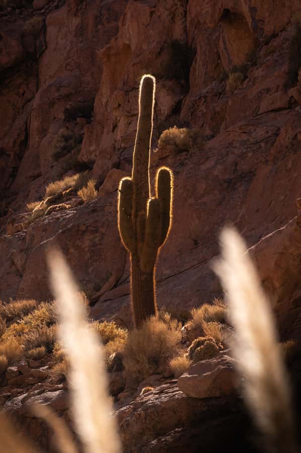 San Pedro de Atacama: Canyon Swimming Pools Trekking Trip - FAQ