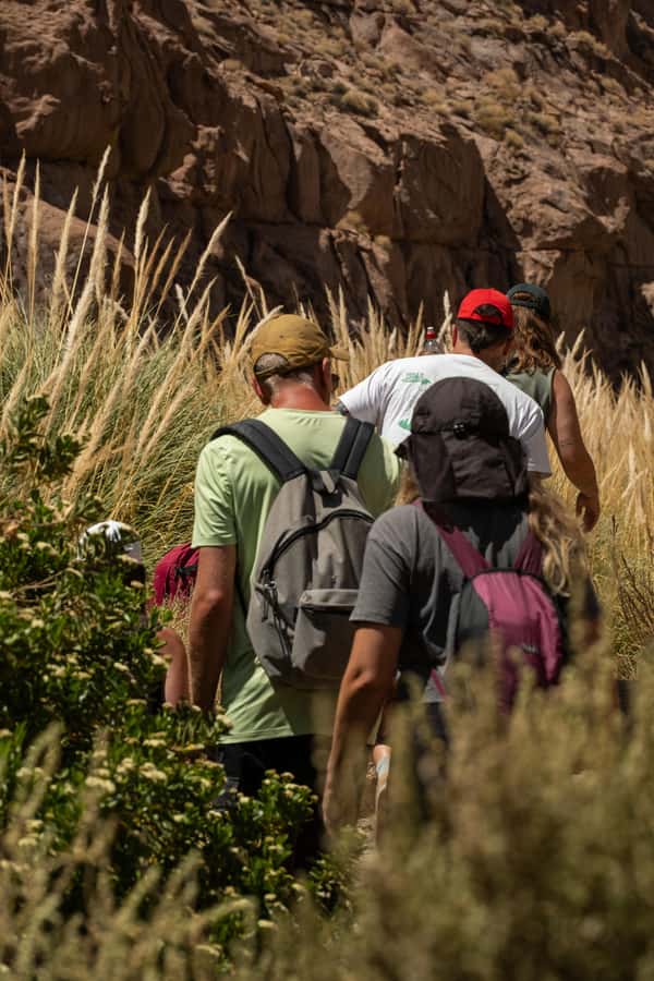 San Pedro de Atacama: Canyon Swimming Pools Trekking Trip - Starting in San Pedro and Reaching the Canyon