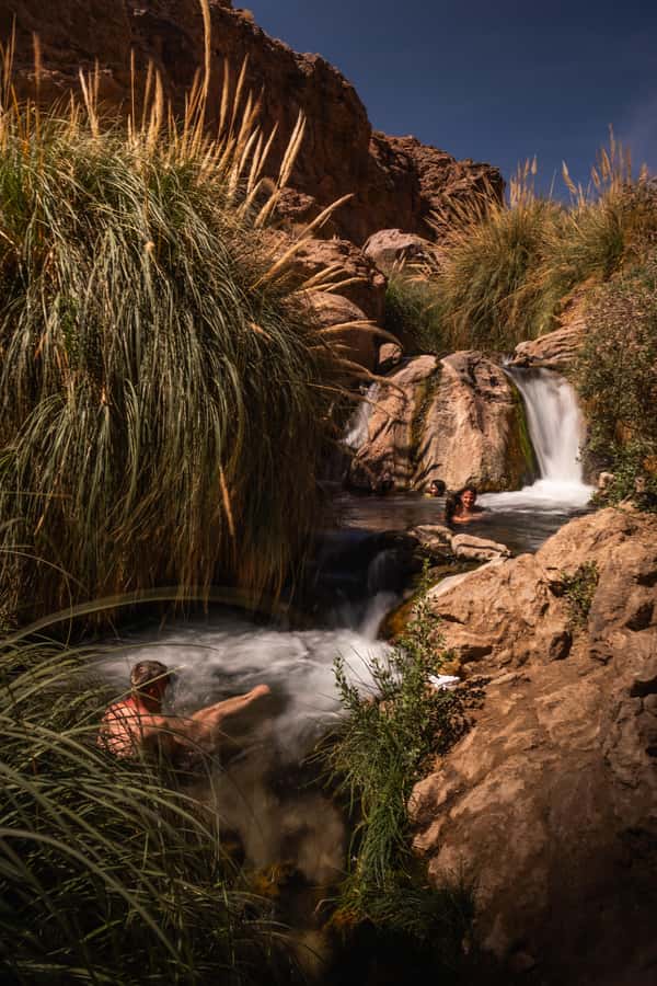 San Pedro de Atacama: Canyon Swimming Pools Trekking Trip - Desert Plants, Cacti, and Photo Stops