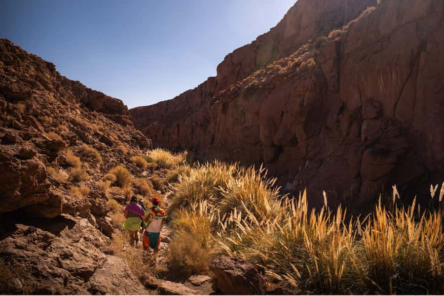 San Pedro de Atacama: Canyon Swimming Pools Trekking Trip - Should You Book the Puritama Canyon Pools Trip?