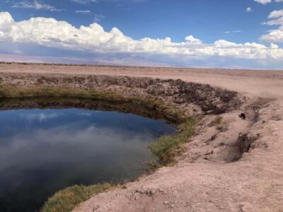 Cejar Lagoon, Tebenquiche & Ojos Salar