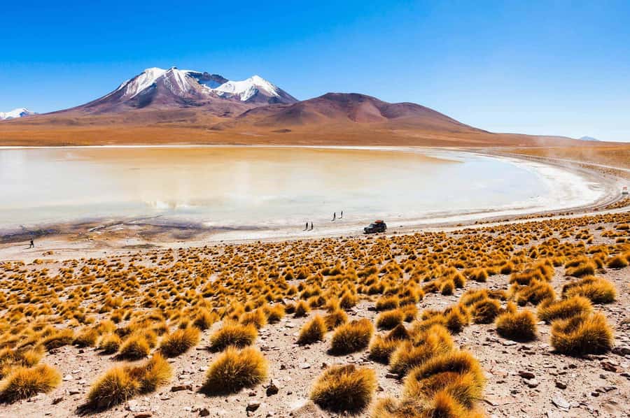 San Pedro de Atacama Day Trip: Atacama Desert and Salt Flats - Key points at a glance