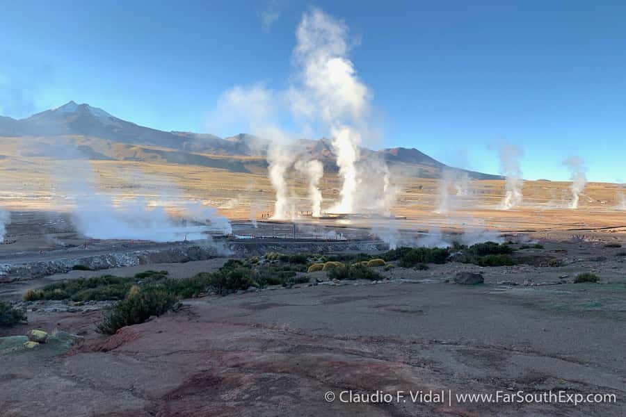 San Pedro de Atacama: El Tatio Geyser Field and Wetlands - El Tatio, steam, silence, and volcanic ground