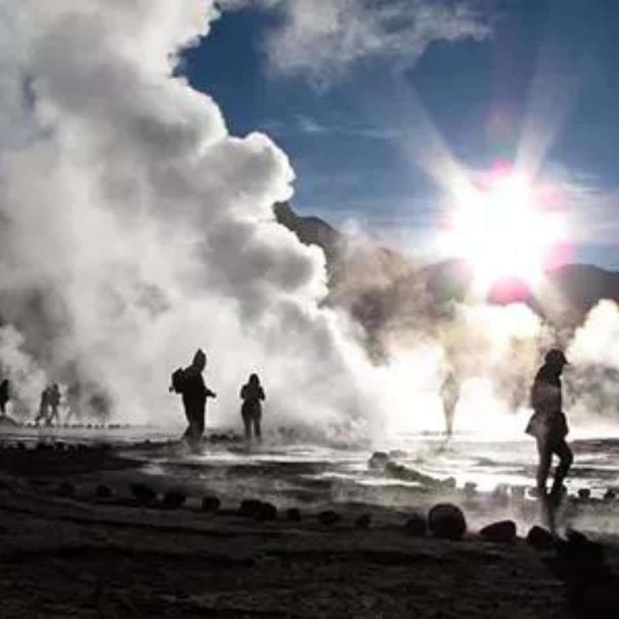 San Pedro de Atacama: Geysers del Tatio - Putana Swamps and the chance to see flamingos