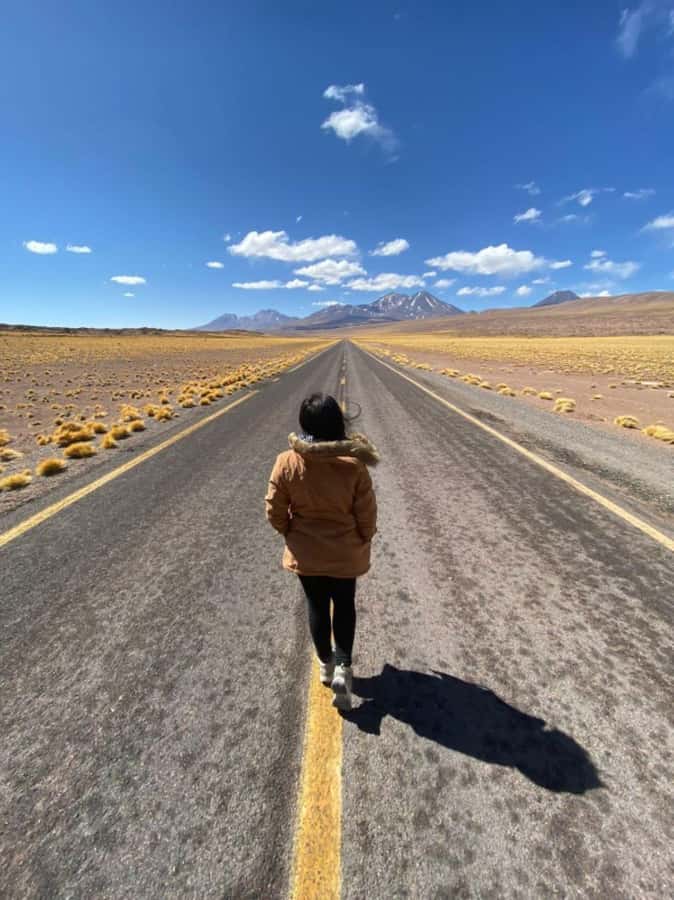 San Pedro de Atacama: Piedras Rojas and Lagunas Altiplanica - Key points to know before you book