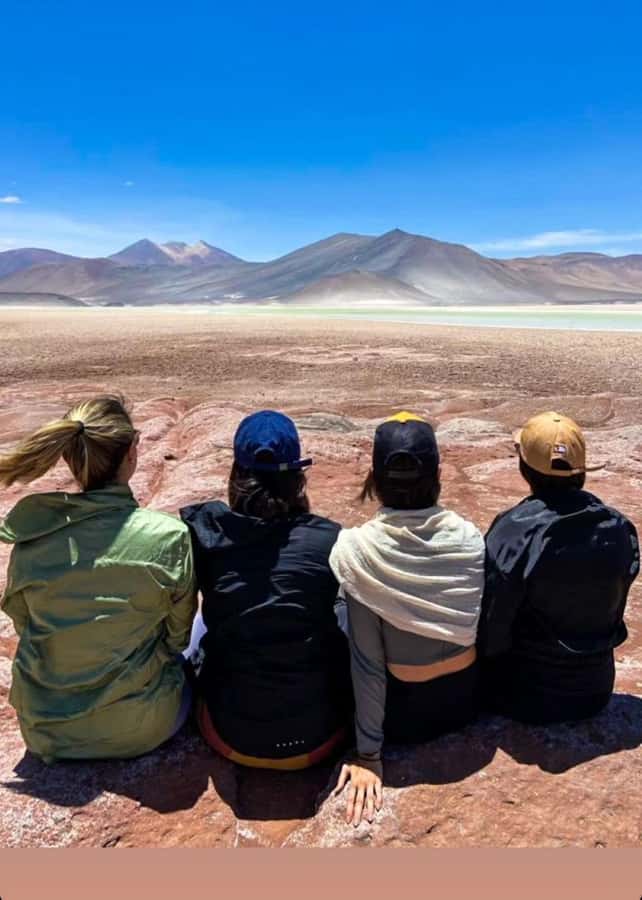 San Pedro de Atacama: Piedras Rojas and Lagunas Altiplanica - Laguna Chaxa and the flamingos of the salt lake