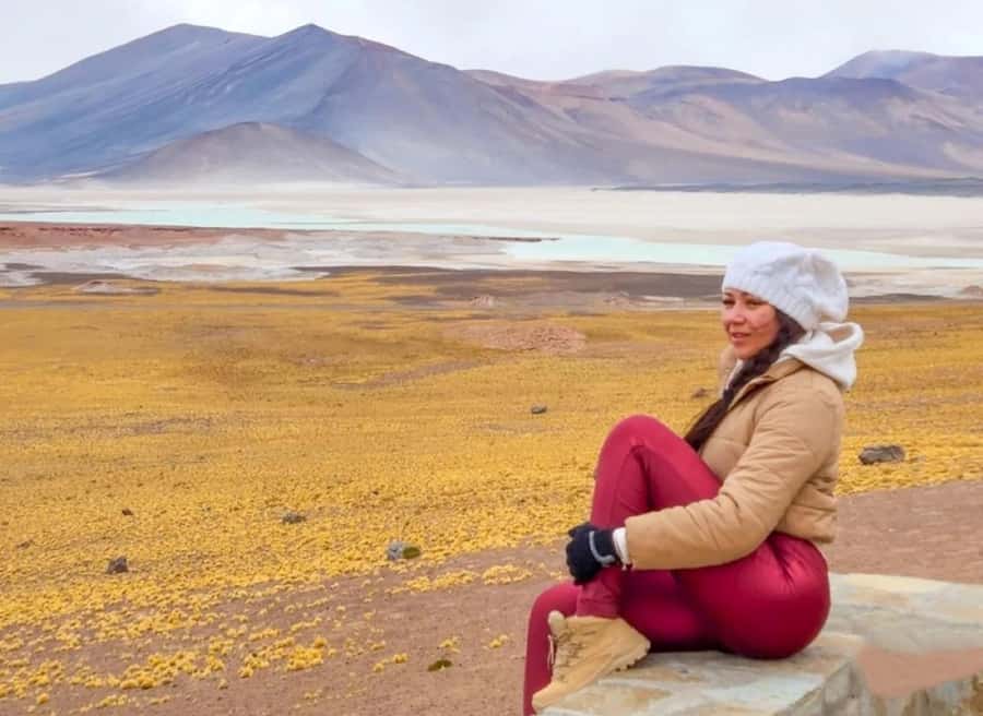 San Pedro de Atacama: Piedras Rojas and Lagunas Altiplanica - Meals, guide quality, and the small-group setup