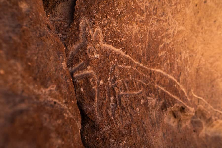 San Pedro de Atacama: Rainbow Valley & Hierbas Buenas Tour - Who should book this Atacama morning