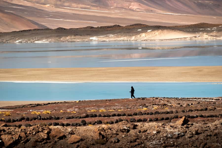 San Pedro de Atacama: Red Rocks & Altiplano Lagoons Day Trip - Is $129 a fair price?